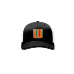 3930 R_P FLEX FIT CAP 172 WILD-ONES-1