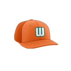 3930 R_P FLEX FIT CAP PTS30 WILD-ONES-1