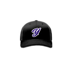 3736 R_P FLEX FIT CAP 172 YGIG-2024-1