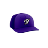 3736 R_P FLEX FIT CAP PTS30 YGIG-2024-1