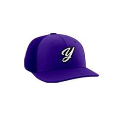 3736 R_P FLEX FIT CAP PTS30 YGIG-2024-1