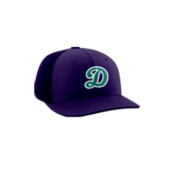 3877 R_P FLEX FIT CAP PTS30 THE-DORNS-1