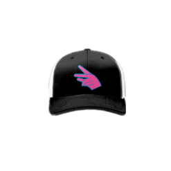 3933 R_P FLEX FIT CAP 172 SUH-DUDE-1