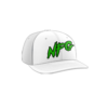 3832 R_P FLEX FIT CAP PTS30 NFG-2024-1