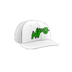 3832 R_P FLEX FIT CAP PTS30 NFG-2024-1