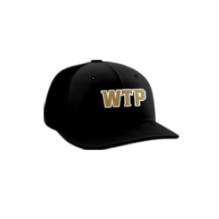 3561 R_P FLEX FIT CAP PTS30 WE-THE-PEOPLE-SAINTS-1