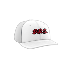 3939 R_P FLEX FIT CAP PTS30 DRS-2024-1