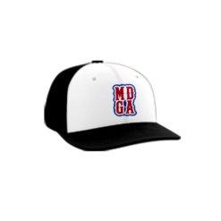 3944 R_P FLEX FIT CAP PTS30 MAKE-DINKING-GREAT-AGAIN-1