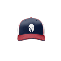 3943 R_P FLEX FIT CAP 172 SIK-WIT-IT-1