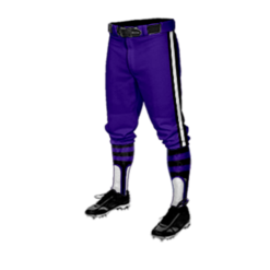 3945 MENS BASEBALL KNICKER PANT MASTERBATTERS-1