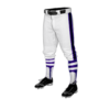 3945 MENS BASEBALL KNICKER PANT MASTERBATTERS-2