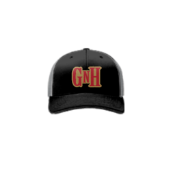 3941 R_P FLEX FIT CAP 172 GUNS-N-HOSES-1