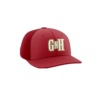 3941 R_P FLEX FIT CAP PTS30 GUNS-N-HOSES-1