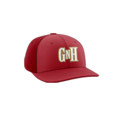 3941 R_P FLEX FIT CAP PTS30 GUNS-N-HOSES-1