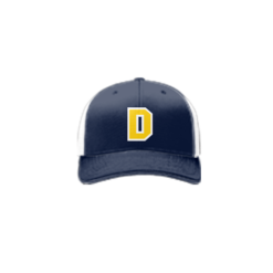 2395 R_P FLEX FIT CAP 172 DUTCHS-SOFTBALL-1
