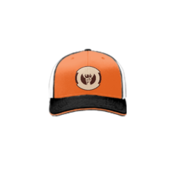 3946 R_P FLEX FIT CAP 172 IBEW-LOCAL-38-1