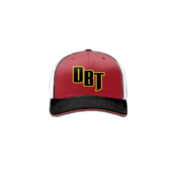 3947 R_P FLEX FIT CAP 172 DIRTY-BLONDE-TAVERN-1