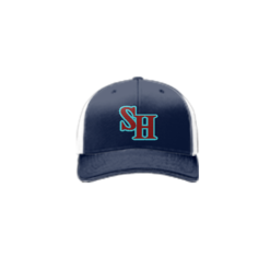 3948 R_P FLEX FIT CAP 172 SUPER-HITTERS-1