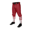 3674 MENS BASEBALL KNICKER PANT CARDINALS-THE-LOU