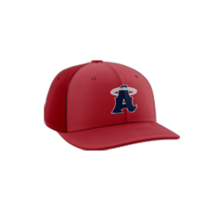 3899 R_P FLEX FIT CAP PTS30 COLUMBUS-ANGELS-1
