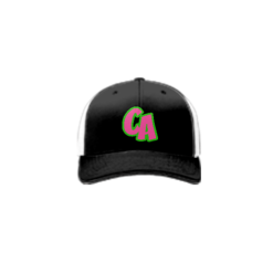 3735 R_P FLEX FIT CAP 172 CHILLY-ALL-STARS-1