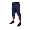 3820 MENS BASEBALL KNICKER PANT THE-BOYS-2