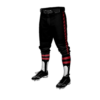 3820 MENS BASEBALL KNICKER PANT THE-BOYS-1