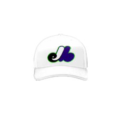 3626 R_P FLEX FIT CAP 172 MOJO-WIFFLE-1