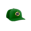 423 R_P FLEX FIT CAP PTS30 SELECT-1