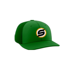 423 R_P FLEX FIT CAP PTS30 SELECT-1