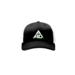 3418 R_P FLEX FIT CAP 172 AA-DROPOUTS-1