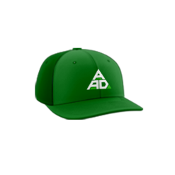 3418 R_P FLEX FIT CAP PTS30 AA-DROPOUTS-1