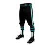 3513 MENS BASEBALL KNICKER PANT H4B-1