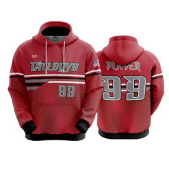 3954 UNISEX FLEECE HOODY TALLBOYS-1