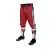 3954 MENS BASEBALL KNICKER PANT TALLBOYS-2