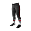 3967 WOMENS FASTPITCH PANTS ZANE-TRACE-FP-2024-1