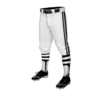 3685 MENS BASEBALL KNICKER PANT S2-1