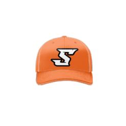 3966 R_P FLEX FIT CAP 172 SWAT-1