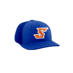3966 R_P FLEX FIT CAP PTS30 SWAT-1