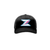 3969 R_P FLEX FIT CAP 172 LIL-ZAPS-1