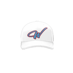 3983 R_P FLEX FIT CAP 172 WARHAWKS-1