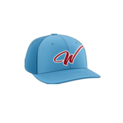 3983 R_P FLEX FIT CAP PTS30 WARHAWKS-1