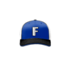 3984 R_P FLEX FIT CAP 172 FLATLINE-1