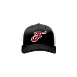 3770 R_P FLEX FIT CAP 172 CAP-CITY-FORCE-1