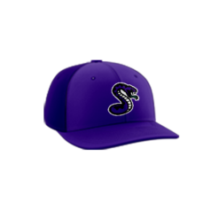 3979 R_P FLEX FIT CAP PTS30 SIDEWINDERS-1