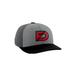 3988 R_P FLEX FIT CAP PTS30 FIRST-DOWN-FINANCIAL-1