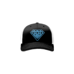 3992 R_P FLEX FIT CAP 172 DIAMONDS-FP-1