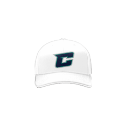 3998 R_P FLEX FIT CAP 172 CANNONS-1