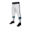 3998 MENS BASEBALL KNICKER PANT CANNONS-2