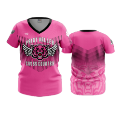 3993 WOMENS V NECK PAINT-VALLEY-CC